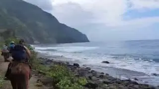 Molokai Mule Ride