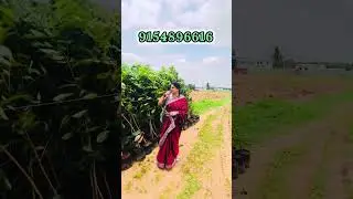 హైవేకి పక్కనే Beautiful Farm Plots| High ReturnsLow Investment|ResortType FarmLand for Weekend Homes