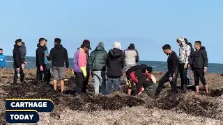 🚨طبلبة: العثور على ج-ثة بحّار ثانٍ من المفقودين بجزيرة قوريا