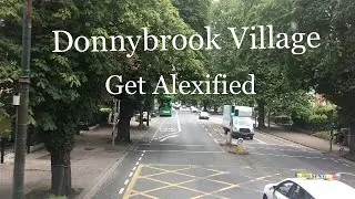 Beautiful Trees | Donnybrook Village | Dublin | Ireland | Get Alexified