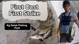 First Cast First Strike | Kolam Kg Delek | Jenahak | Siakap