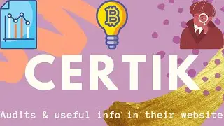 Certik Audits and useful info in their website