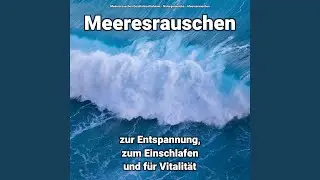 Atmo am Meer gegen Hundebellen