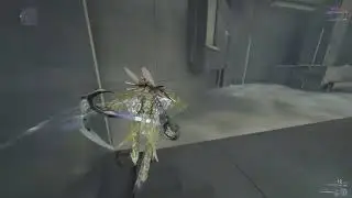 WF: Zephyr supa kicka
