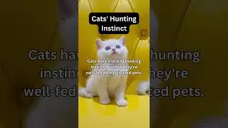 Cats' Hunting Instinct #HouseCats #CatEvolution #CatHistory