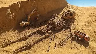 Trovati scheletri giganti umani negli Stati Uniti: sì, erano reali