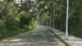 DE TAMPICO ALTO VER. A LA RIVERA ZONA RESTAURANTERA Y LAGUNA DE TAMIAHUA #VAMOSX1000