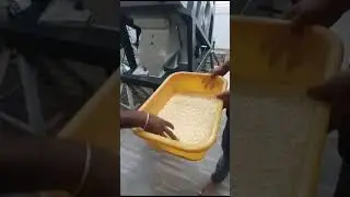 ✅ Dehydrated White Onion Color Sorter Machine- ☎️ Call @+919994399996 /+91 9600662478