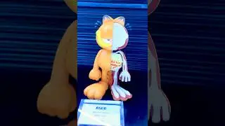 Mighty Jaxx XXRay Plus Garfield #mightyjaxx #xxrayplus #garfield