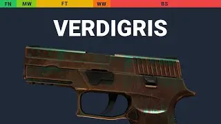 P250 Verdigris - Skin Float And Wear Preview