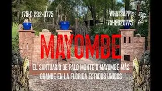 Por qu&eacute; algunos Tatas y Nyayis pierden a familiares, tragedias o pierden a sus parejas.