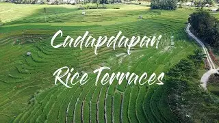 Cadapdapan Rice Terraces | Philliphines