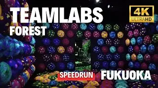 Team Lab Forest Fukuoka Walking Tour! | Things to do Fukuoka Japan