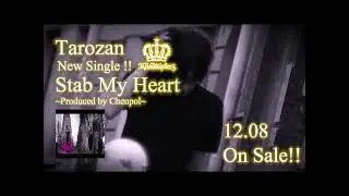 tarozan cm 2008