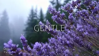 Peaceful Night Piano with Forest Ambience to Calm the Mind and Improve Sleep Quality