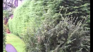 Edinburgh Fencing by TimberFence.com
