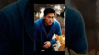 A Stray Cat Stole His Phone &mdash; Seconds Later, It Saved His Life 😱🐱