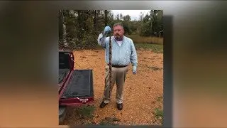 Near Record-Breaking Venomous Snake Found in West Tennessee
