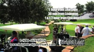 brightleaf 2014 HD film look