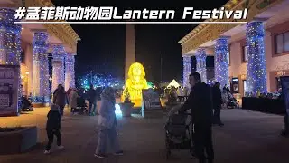 嘟嘟和小伙伴一起去看动物园灯会啦，看各种动物，会动的孙悟空还有中国龙