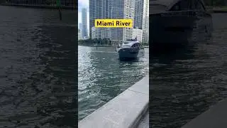 Downtown Miami River #miami #beautiful #downtown