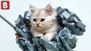 Cat in LEGO Rocket!!! Top Ten Custom Creations