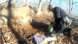 Coyote trapping remake set how i do it