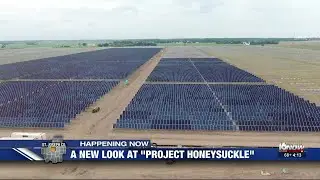 'Project Honeysuckle' under development