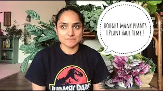February Plant Haul !! House Update at the End !