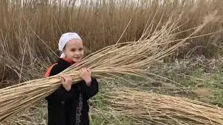Крыша из тростника на деревенском туалете срубе