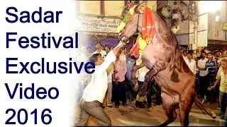 Sadar Festival 2016 Exclusive Video |  Hyderabad | Saidabad | Old City