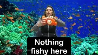 Fish Balloon Twisting Tutorial