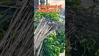 Electrical wiring here is different, but it works! #Cebu #Philippines #PassportBros #Electricity