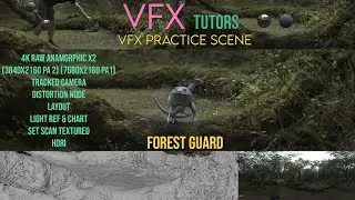 VFX Creature Practice Scene - Forest Guard