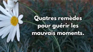 Il y a 4 rem&egrave;des pour les mauvais moments .. 35 Citations Inspirantes sur la vie et les relations