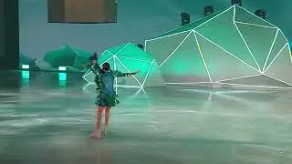 Шоу 
