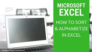 How to Sort/Alphabetize Data in Excel