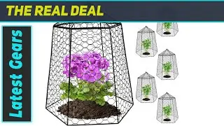 Kalolary Garden Cloche: Effective Plant Protection?