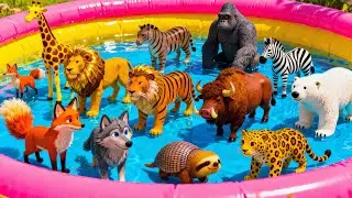 300 диких животных для детей | Учим названия животных | Виды животных для детей. Названия диких ж...