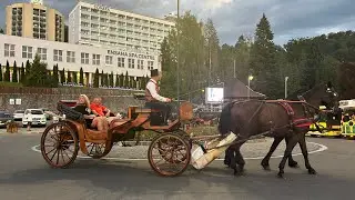 SOVATA - august 2025