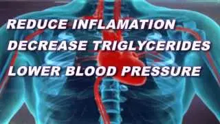 Healthy Body Brain & Heart Pak