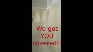 Ultimate Carpet Cleaning & Pet Odor Removal Experts | Transforming Dirty Carpets | Get a Free Quote