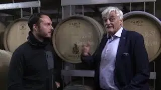 VIF Wein des Monats November: Sp&auml;tburgunder Barrique vom Weingut KNAB, Baden
