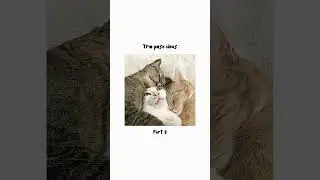 Aesthetic trio pose ideas - Part 3 #aesthetic #trio #pose #photography #soft #indie