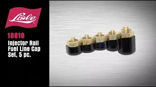 Lisle 10810 Injector Rail Fuel Line Cap Set, 5 pc.