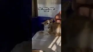A Little Survivor Learning She’s Safe