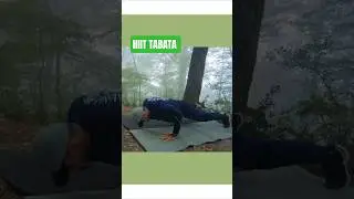 Tabata Workout in a Misty Forest | Intense Nature Fitness Challenge 🌲💪🔥🧘🌿
