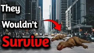 Could Dinosaurs Survive The Modern Era