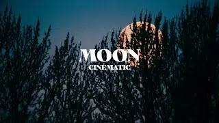 Full Moon Disappearing Behind Trees | Shot on Sony A7III 4K