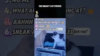 THE SNEAKY CAT STRIKES #cat #catfunny #funny